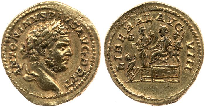 реверс RIC IV Caracalla 303