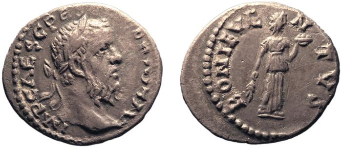 реверс RIC IV Pescennius Niger 4