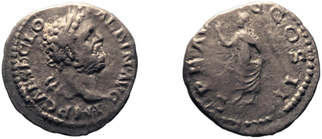 RIC IV Clodius Albinus 41, аверс, bm