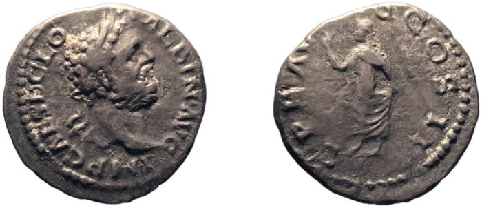 RIC IV Clodius Albinus 41, реверс, bm