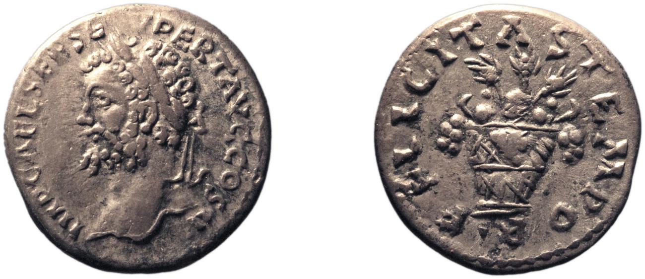 аверс RIC IV Septimius Severus 376