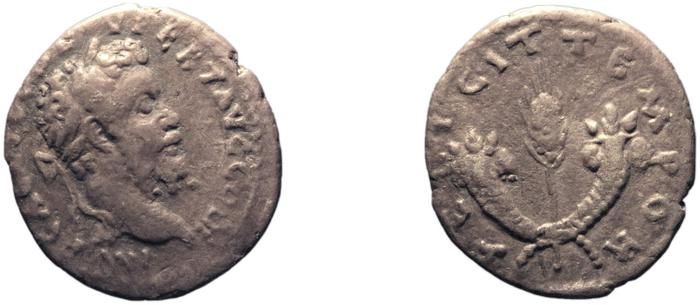 RIC IV Septimius Severus 373, реверс, bm