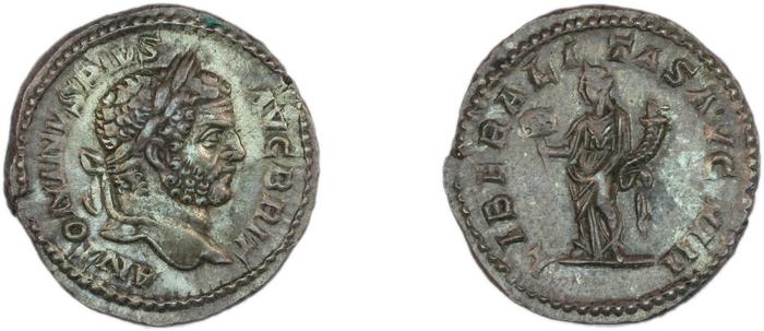 реверс RIC IV Caracalla 219
