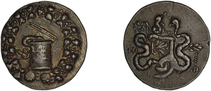 reverse Ephesus Kleiner and Noe 1977 27