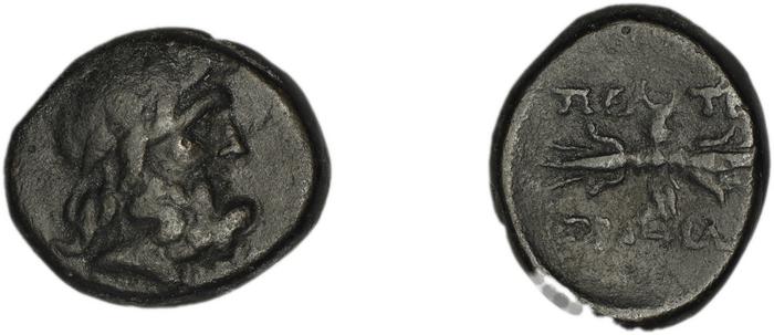 реверс Peltae BMC Peltae 4-6
