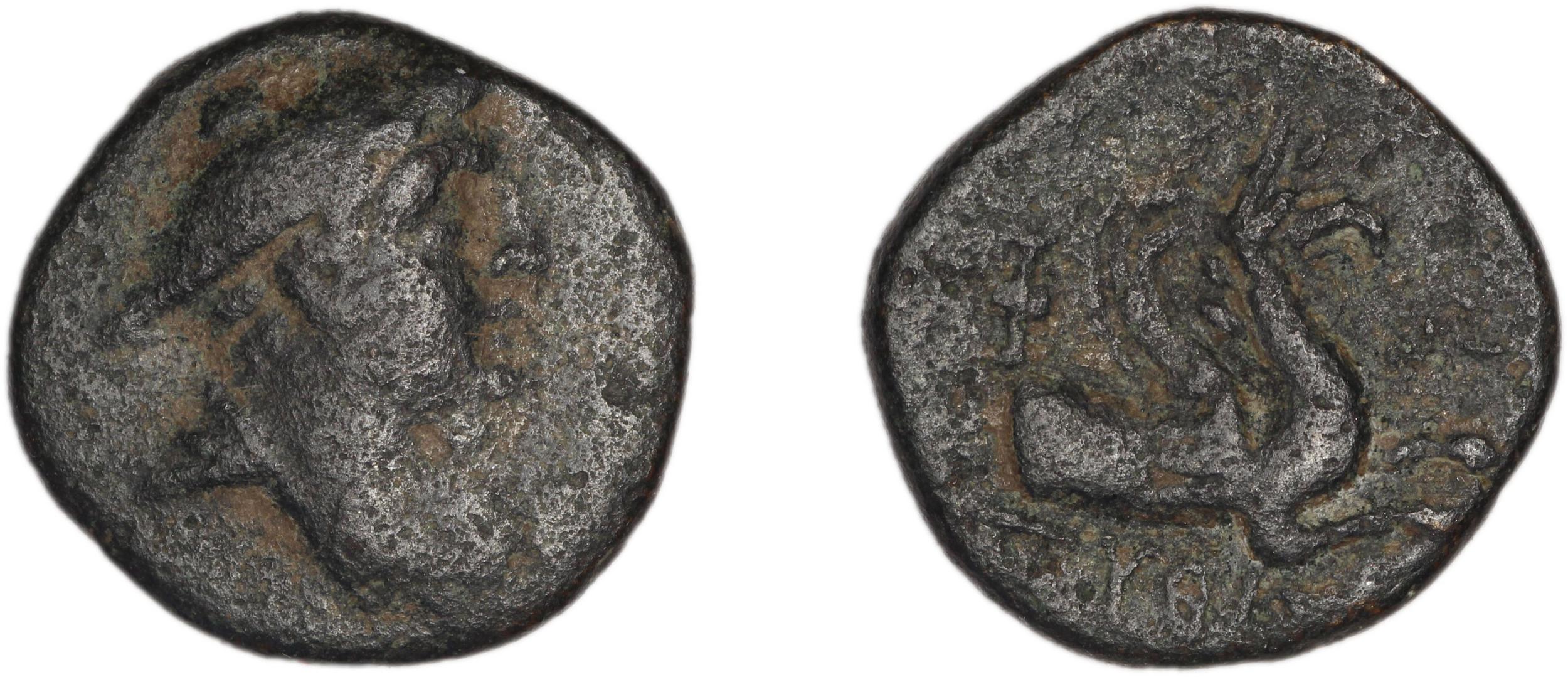 Phocaea BMC Phocaea 103-8, аверс, bm