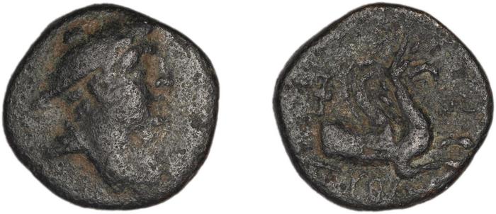 Phocaea BMC Phocaea 103-8, реверс, bm