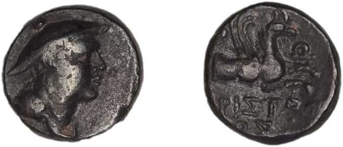 реверс Phocaea BMC Phocaea 103-8