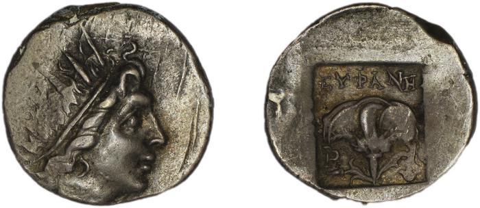 coin rev