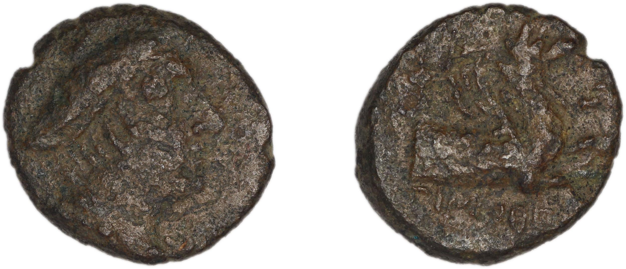 Phocaea BMC Phocaea 103-8, аверс, bm