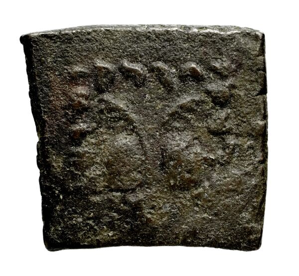 Bactrian and Indo-Greek Coinage Antialcidas 24.3, реверс, bnf-bigr
