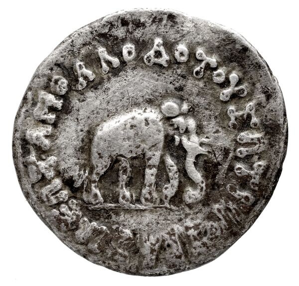 Bactrian and Indo-Greek Coinage Apollodotus I 2, аверс, bnf-bigr