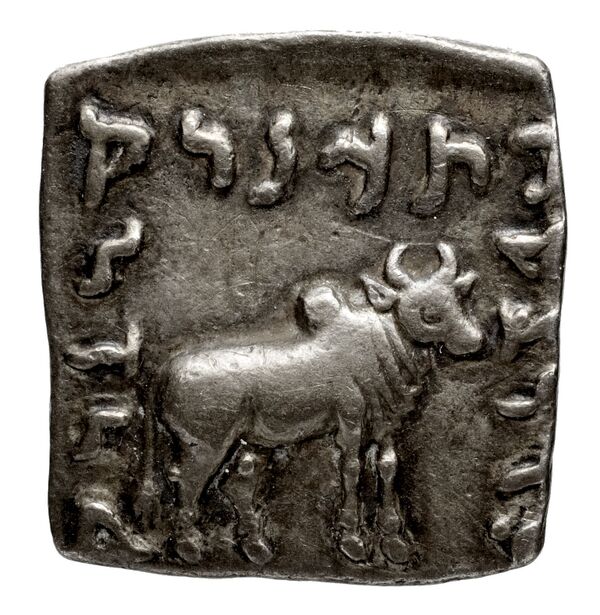 Bactrian and Indo-Greek Coinage Apollodotus I 4.6, реверс, bnf-bigr