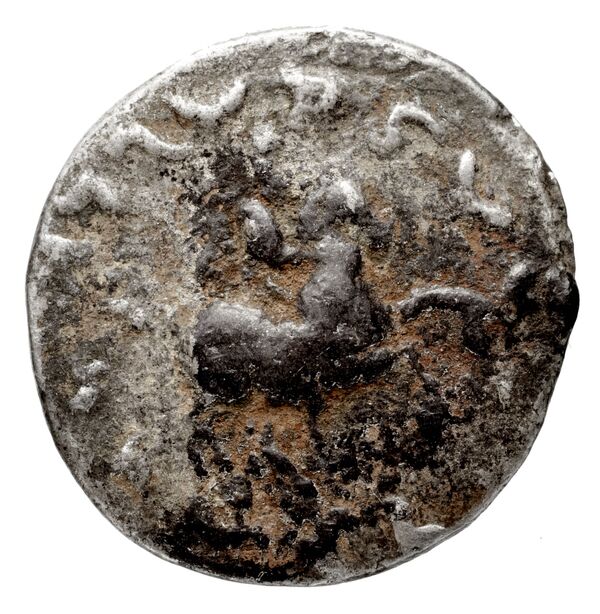 Bactrian and Indo-Greek Coinage Antimachus II 1.6, реверс, bnf-bigr