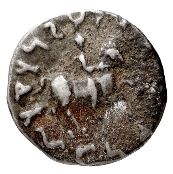 Bactrian and Indo-Greek Coinage Antimachus II 1.3, реверс, bnf-bigr