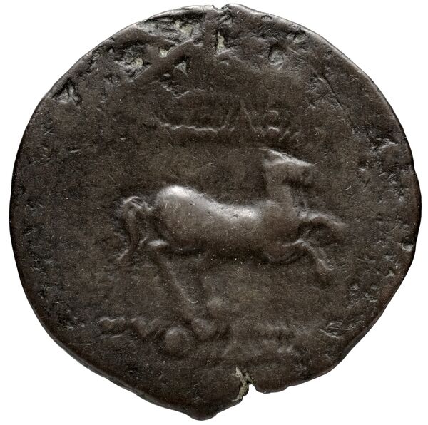 Bactrian and Indo-Greek Coinage Euthydemus I 8, реверс, bnf-bigr