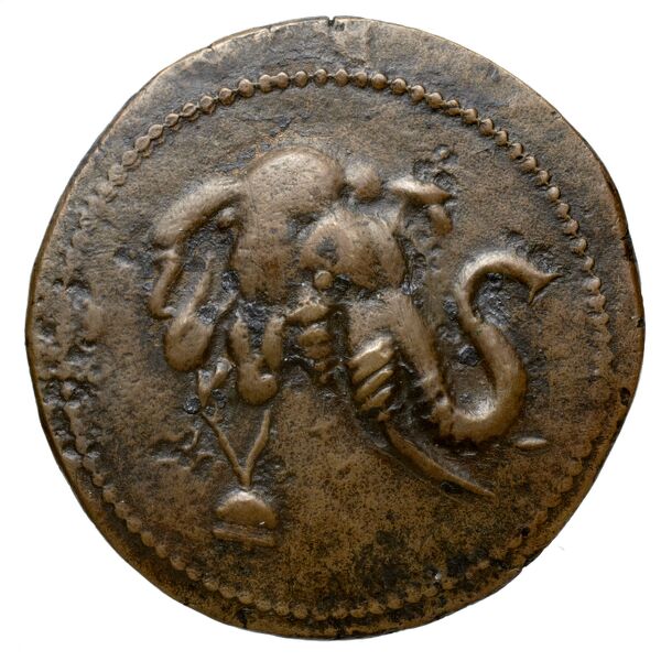 Bactrian and Indo-Greek Coinage Demetrius I 8.1, аверс, bnf-bigr