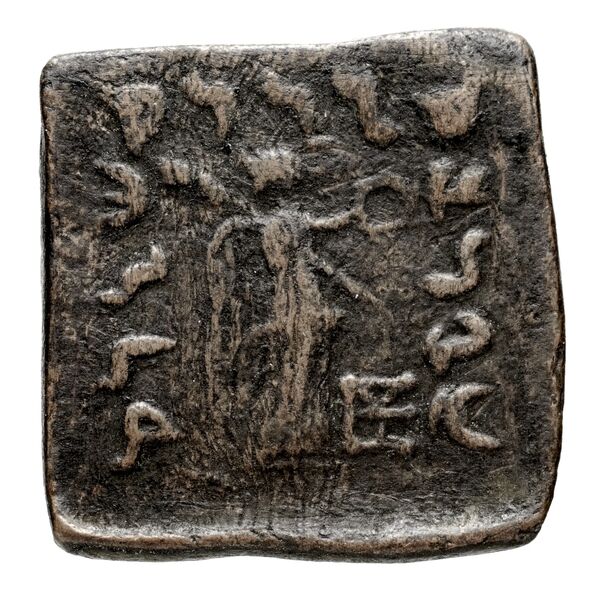 Bactrian and Indo-Greek Coinage Menander I 31.3, реверс, bnf-bigr