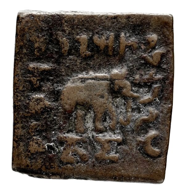 Bactrian and Indo-Greek Coinage Lysias 15.1, реверс, bnf-bigr