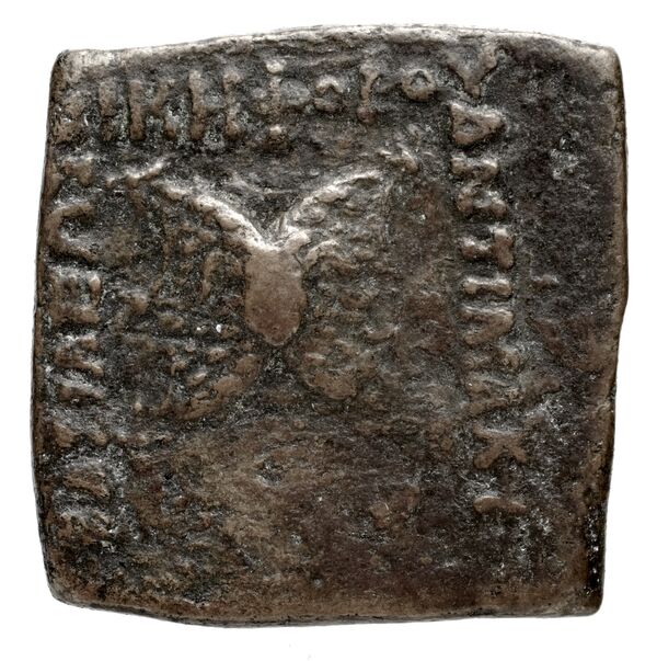 Antimachus II of Bactria obv