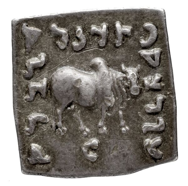 Bactrian and Indo-Greek Coinage Apollodotus I 4.4, реверс, bnf-bigr