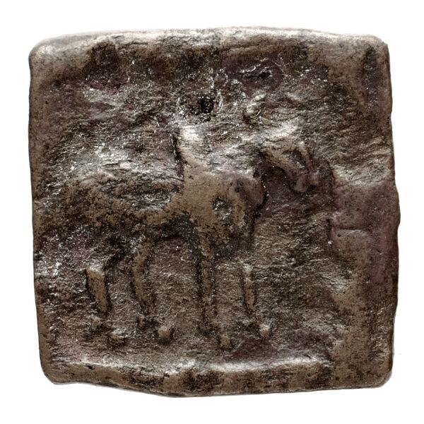 Bactrian and Indo-Greek Coinage Apollodotus II 21, аверс, bnf-bigr