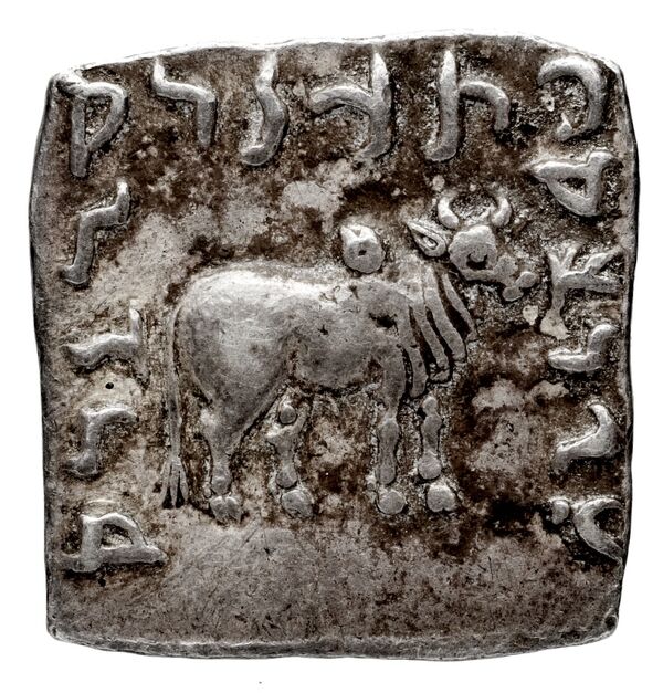 Bactrian and Indo-Greek Coinage Apollodotus I 4.6, реверс, bnf-bigr