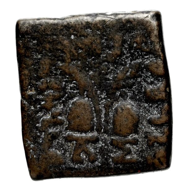 Bactrian and Indo-Greek Coinage Antialcidas 24.1, реверс, bnf-bigr