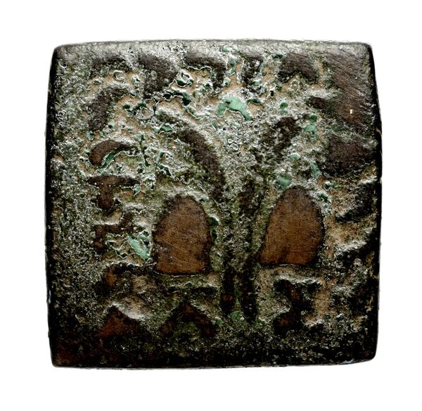 Bactrian and Indo-Greek Coinage Antialcidas 24.1, реверс, bnf-bigr