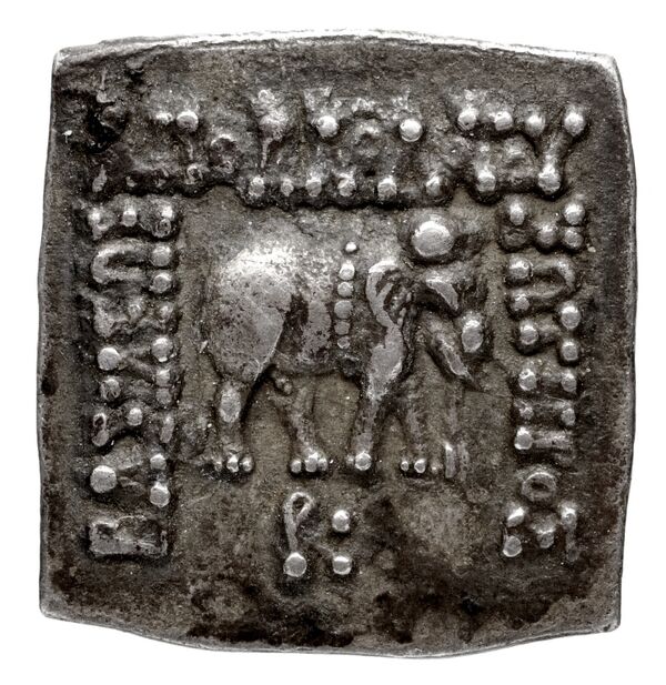 Bactrian and Indo-Greek Coinage Apollodotus I 4.3, аверс, bnf-bigr