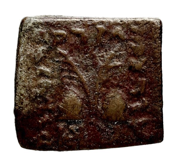 Bactrian and Indo-Greek Coinage Antialcidas 24.3, реверс, bnf-bigr