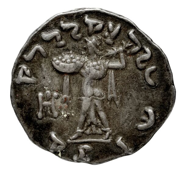 Bactrian and Indo-Greek Coinage Menander I 13.19, реверс, bnf-bigr
