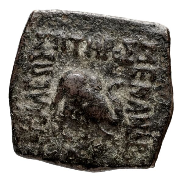 Bactrian and Indo-Greek Coinage Menander I 42.2, аверс, bnf-bigr