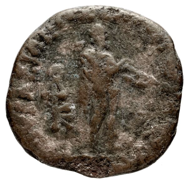 Bactrian and Indo-Greek Coinage Apollodotus II 6.3, аверс, bnf-bigr