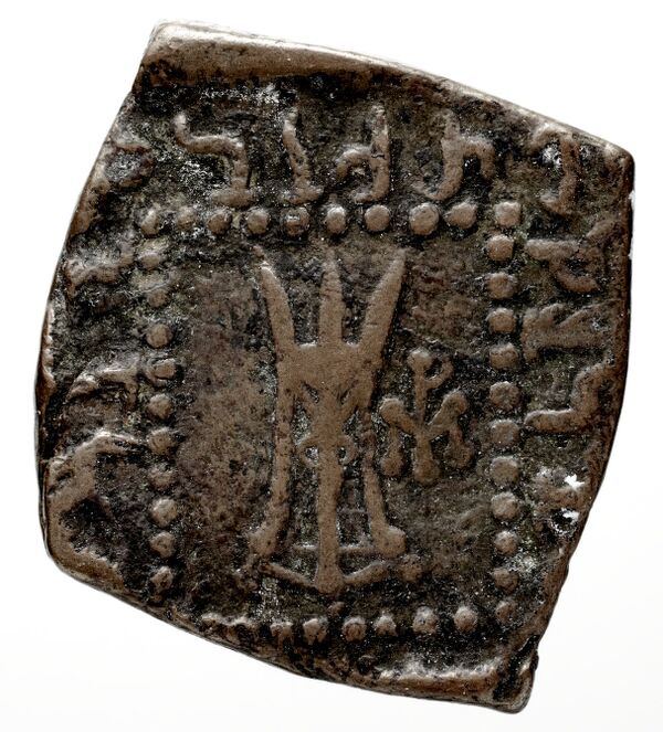 Bactrian and Indo-Greek Coinage Apollodotus I 6.6, реверс, bnf-bigr