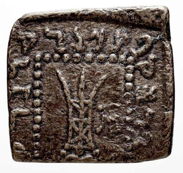 Bactrian and Indo-Greek Coinage Apollodotus I 6.7, реверс, bnf-bigr
