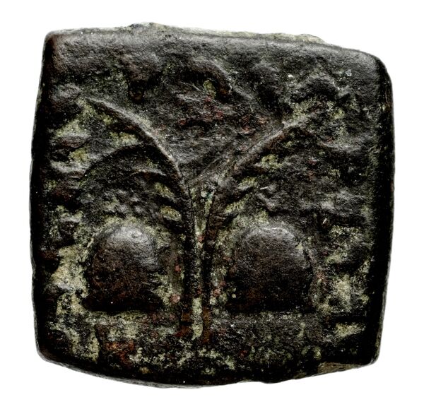 реверс Bactrian and Indo-Greek Coinage Antialcidas 23.1
