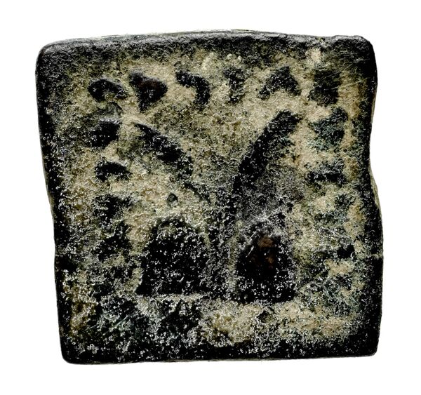 Bactrian and Indo-Greek Coinage Antialcidas 24.3, реверс, bnf-bigr
