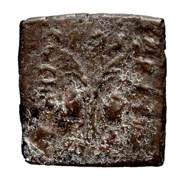 Bactrian and Indo-Greek Coinage Antialcidas 24.3, реверс, bnf-bigr