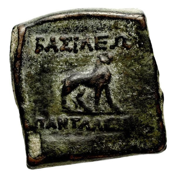 Bactrian and Indo-Greek Coinage Pantaleon 7, реверс, bnf-bigr