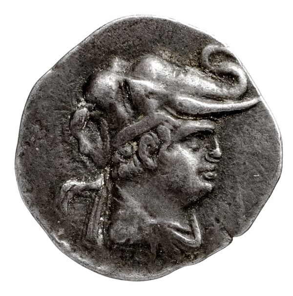 Bactrian and Indo-Greek Coinage Demetrius I 5.2, аверс, bnf-bigr
