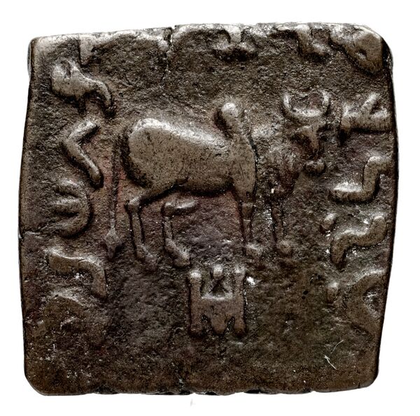 Bactrian and Indo-Greek Coinage Diomedes 11.1, реверс, bnf-bigr