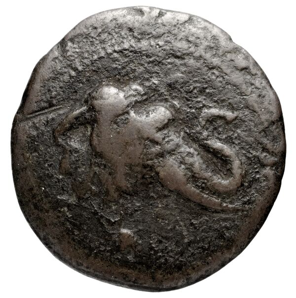 Bactrian and Indo-Greek Coinage Demetrius I 8.1, аверс, bnf-bigr