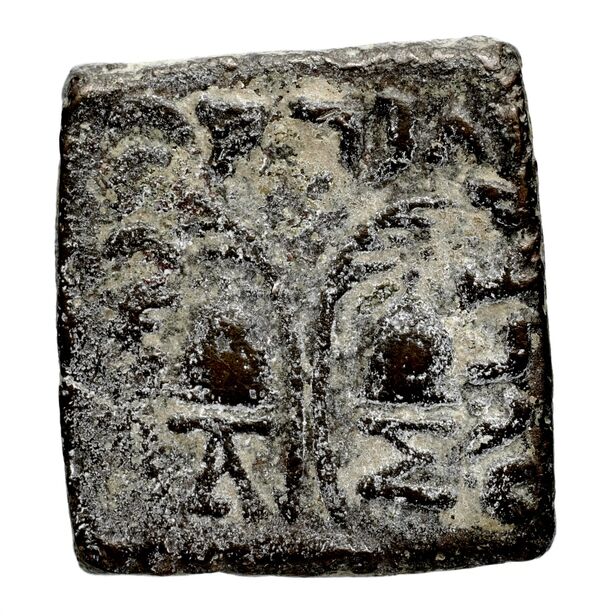 Bactrian and Indo-Greek Coinage Antialcidas 24.1, реверс, bnf-bigr