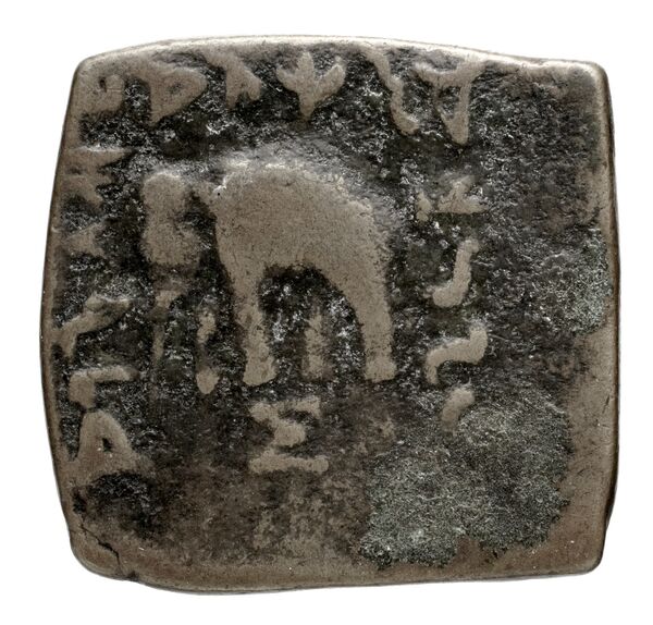 реверс Bactrian and Indo-Greek Coinage Heliocles II 13.1