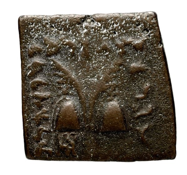 Bactrian and Indo-Greek Coinage Antialcidas 24.3, реверс, bnf-bigr