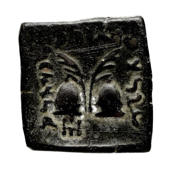 Bactrian and Indo-Greek Coinage Antialcidas 24.3, реверс, bnf-bigr