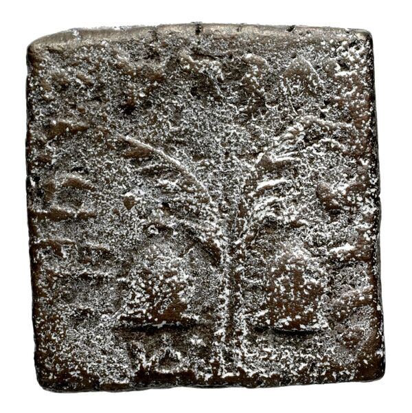 Bactrian and Indo-Greek Coinage Antialcidas 24.3, реверс, bnf-bigr