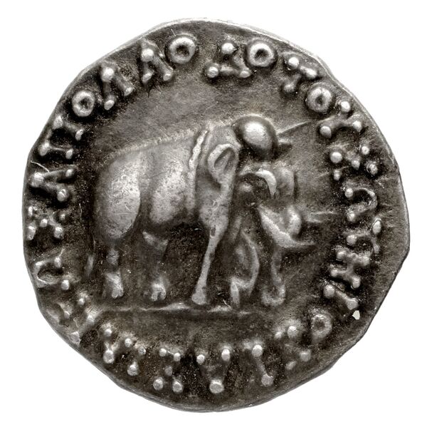 Bactrian and Indo-Greek Coinage Apollodotus I 2, аверс, bnf-bigr
