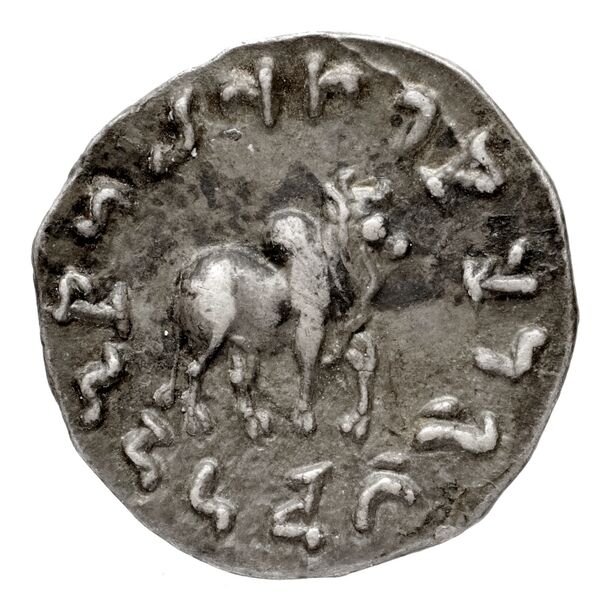 Bactrian and Indo-Greek Coinage Apollodotus I 2, реверс, bnf-bigr